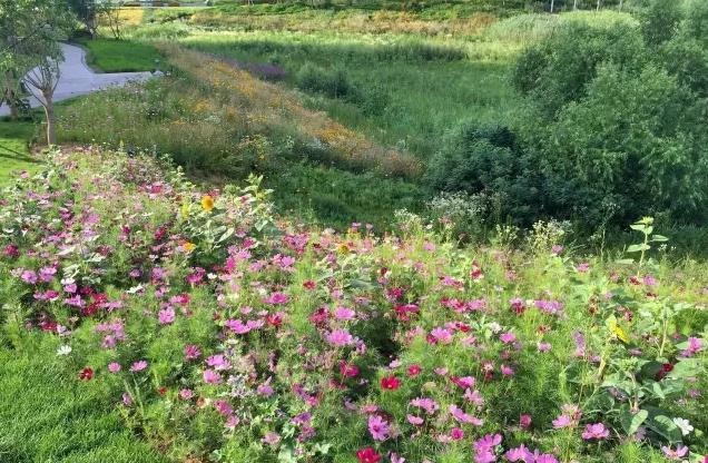 青島中德生態園德國企業中心景觀設計