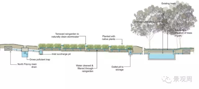 愛丁堡雨水花園案例