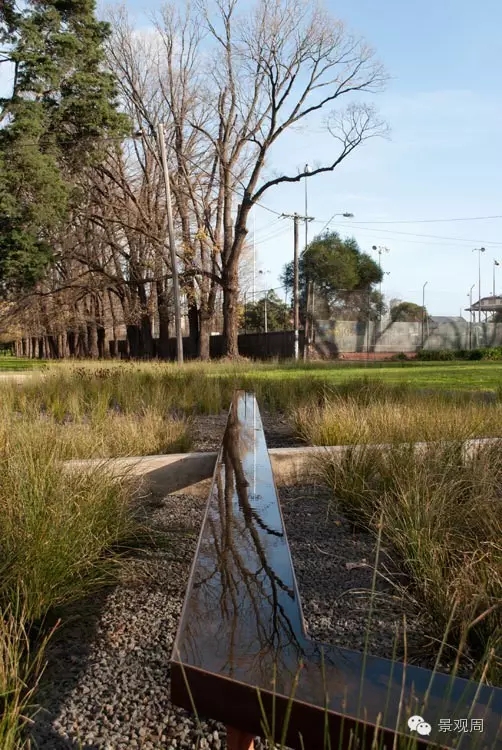愛丁堡雨水花園案例