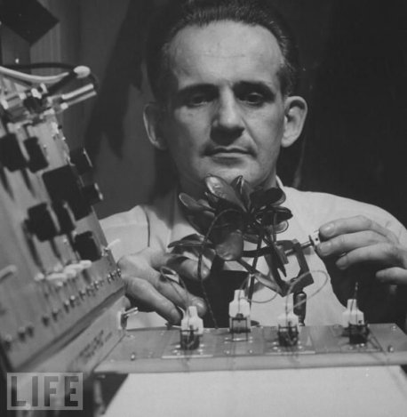 植物的特異功能 巴克斯特效應