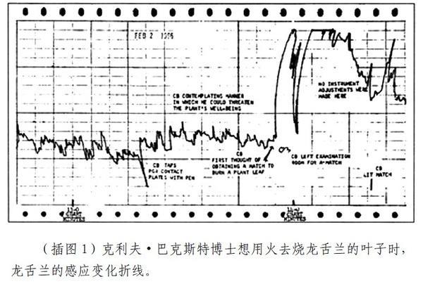 植物的特異功能 巴克斯特效應