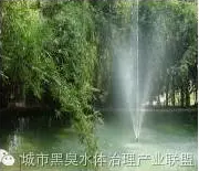 有圖有真相 水環(huán)境生態(tài)修復(fù)技術(shù)方案