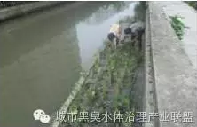 有圖有真相 水環境生態修復技術方案