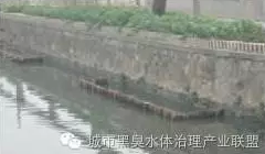 有圖有真相 水環境生態修復技術方案