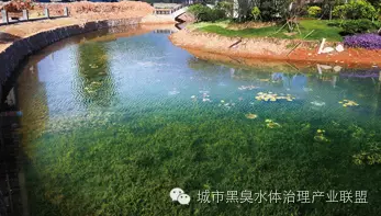 有圖有真相 水環(huán)境生態(tài)修復(fù)技術(shù)方案