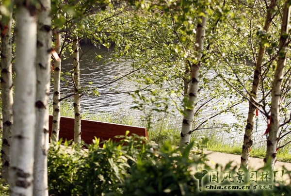 伊麗莎白奧林匹克公園項目賞析