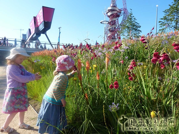 伊麗莎白奧林匹克公園項(xiàng)目賞析