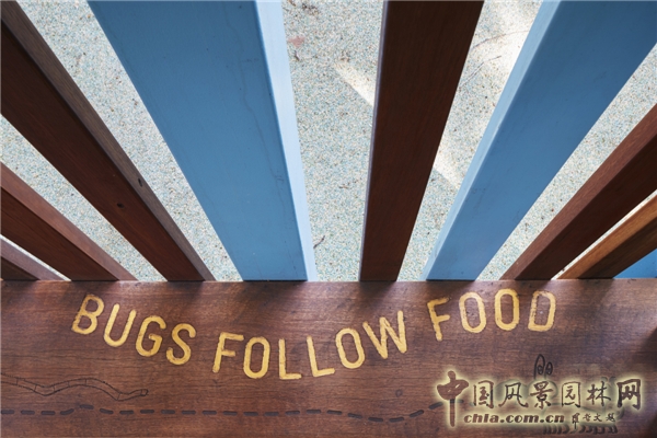 澳大利亞新南威爾士州圣詹姆斯公園