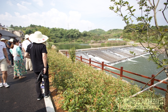 "未來村"鄉村建設研討會成功舉辦