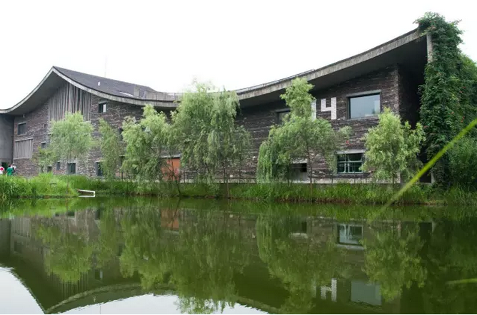 王澍：讓文化力量重返鄉村