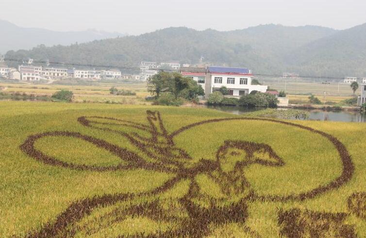 休閑農業景觀設計之“大地藝術”