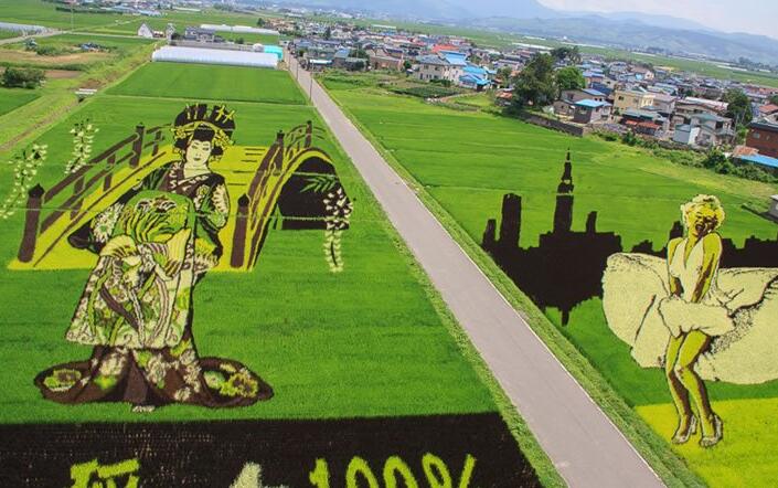 休閑農業景觀設計之“大地藝術”