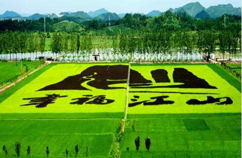 休閑農業景觀設計之“大地藝術”