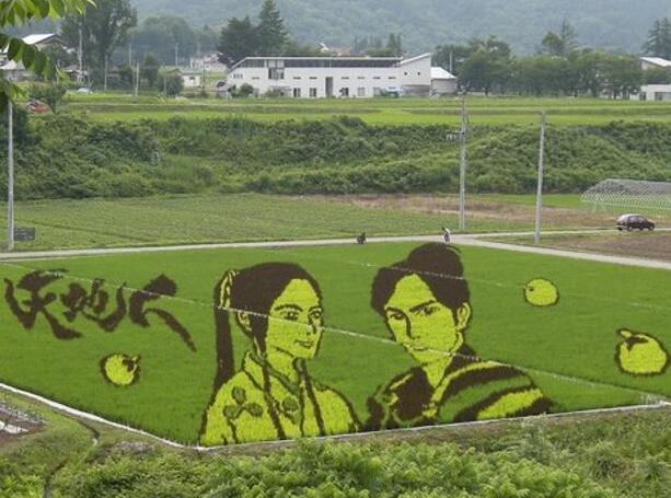 休閑農(nóng)業(yè)景觀設(shè)計(jì)之“大地藝術(shù)”