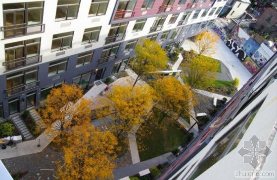 美國Bushwick城市庭院景觀