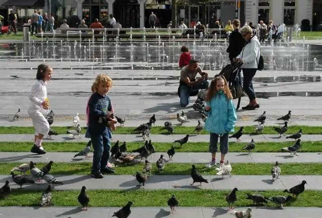 可蓄水廣場(chǎng)——讓城市看海變成看風(fēng)景