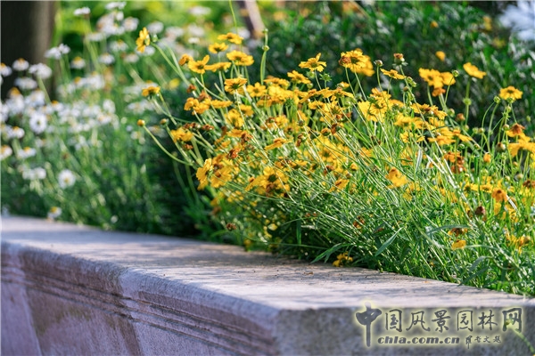 藍(lán)調(diào)國際:重慶金海灣濱江園 山水之城的濱水密境