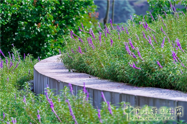 藍調國際:重慶金海灣濱江園 山水之城的濱水密境