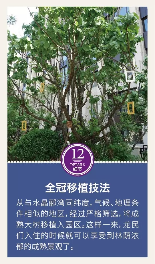 龍湖景觀設計的12個驚艷的細節