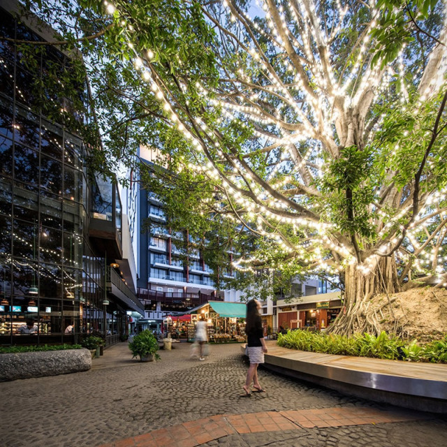 案例分享:清邁思緒公園