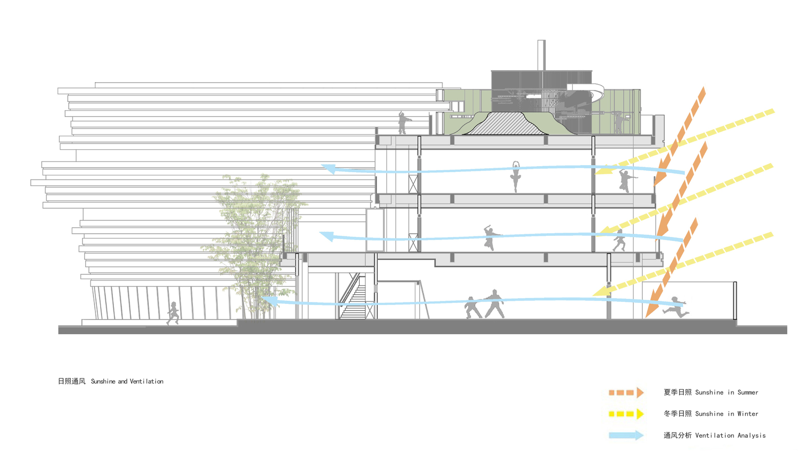 案例賞析：看得見(jiàn)森林的幼兒園