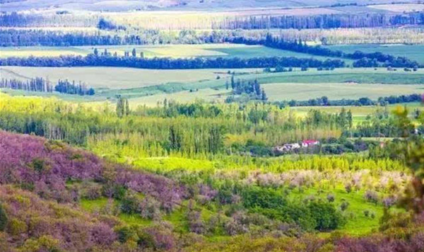 評論：文旅小鎮(zhèn)如何打造成功？