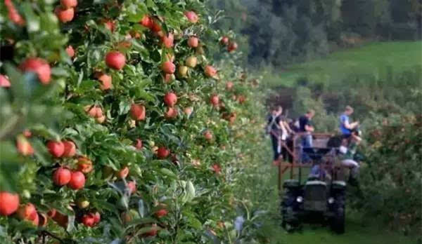 評論：文旅小鎮(zhèn)如何打造成功？