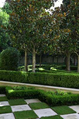 時尚圖案與植物設計碰撞出的火花