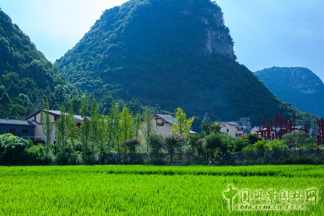 樓納國際高校建造大賽正式開幕