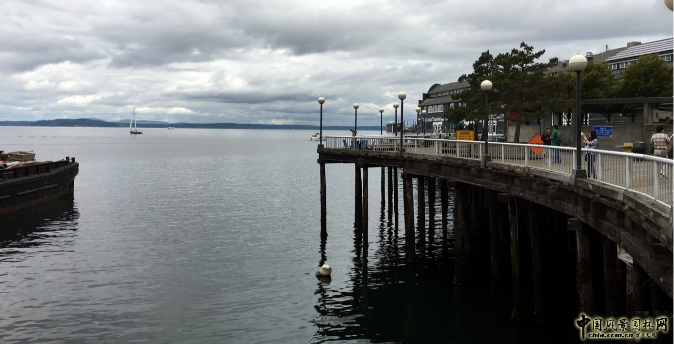美西考察(西雅圖站):與大師理查德·海格一同游園