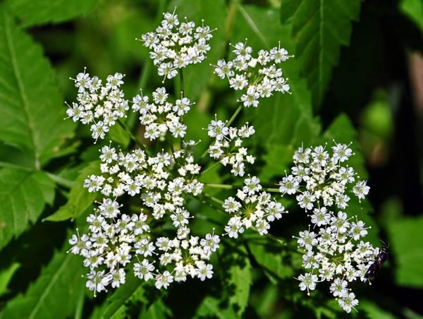 設計兒童空間需注意的11個事項