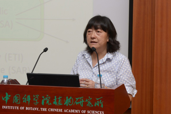 美國科學院院士董欣年教授訪問植物所