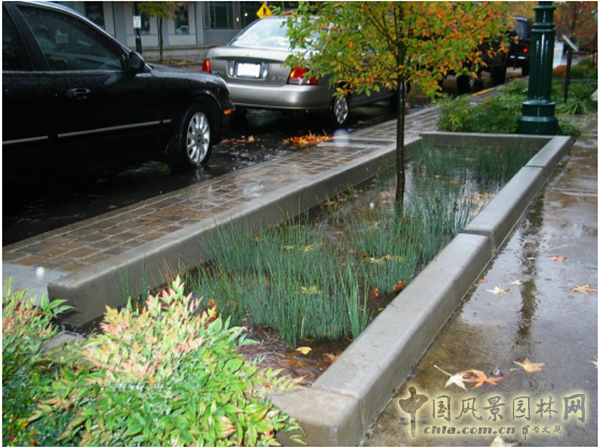 美西考察（波特蘭站）