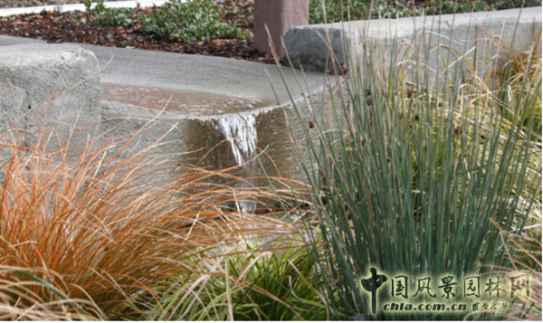 美西考察（波特蘭站）