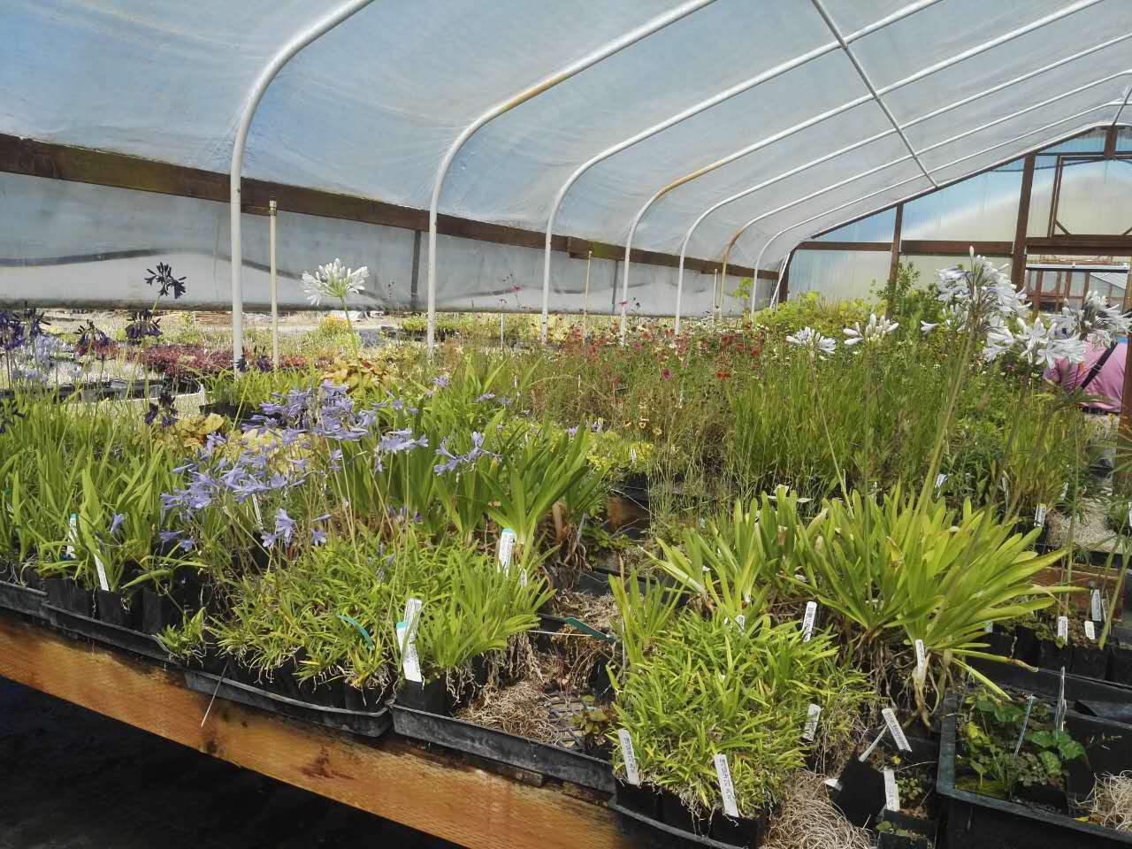 【美國考察】雷丁和舊金山站：感受那些別致的景觀設計