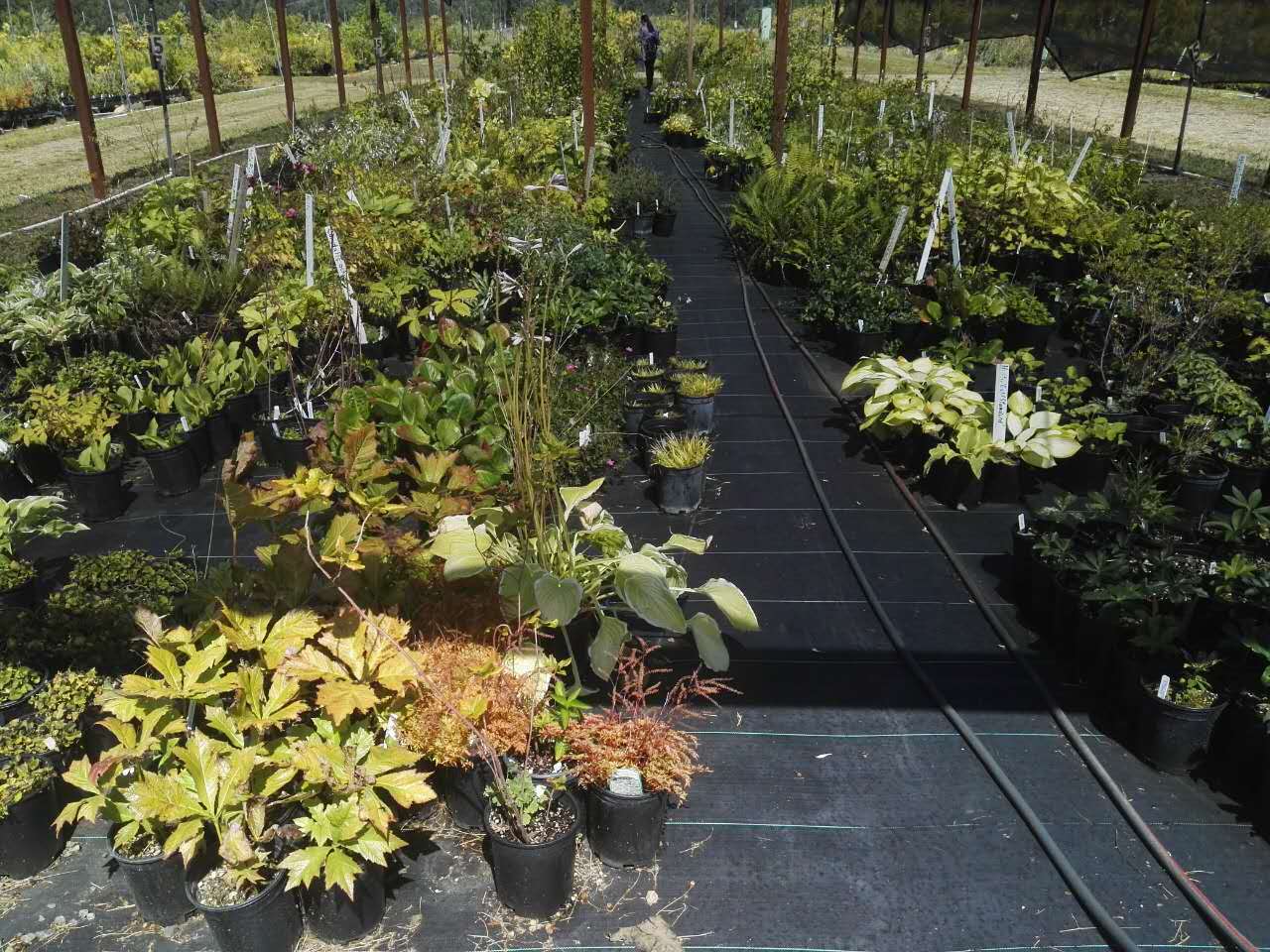 【美國考察】雷丁和舊金山站：感受那些別致的景觀設計