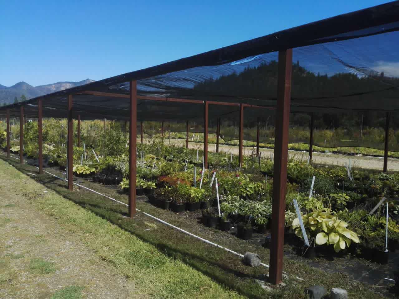 【美國考察】雷丁和舊金山站：感受那些別致的景觀設計