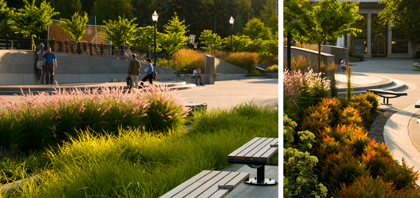 【美國考察】雷丁和舊金山站:感受那些別致的景觀設計