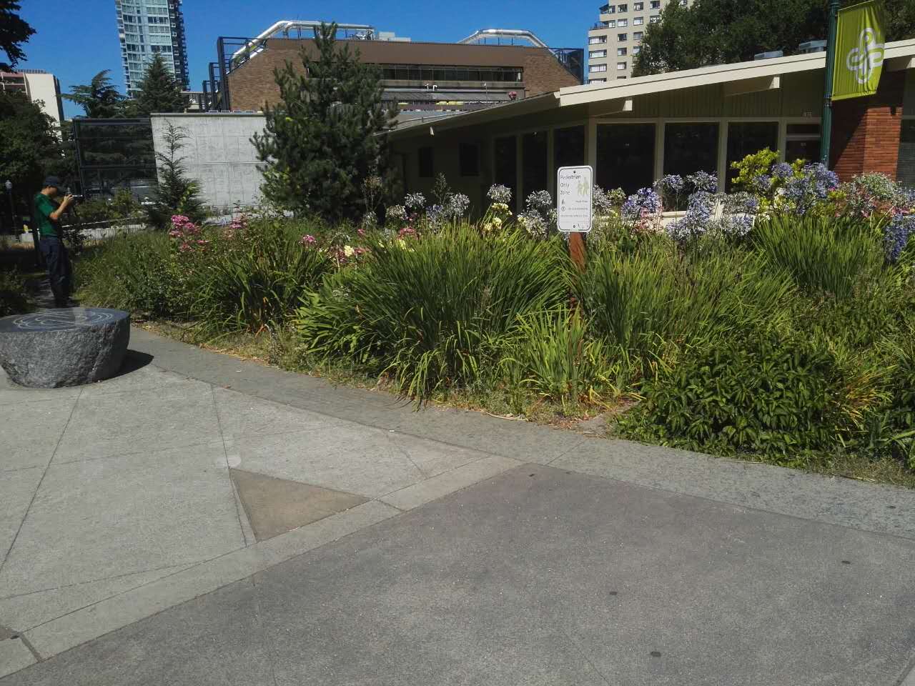 【美國考察】雷丁和舊金山站:感受那些別致的景觀設計