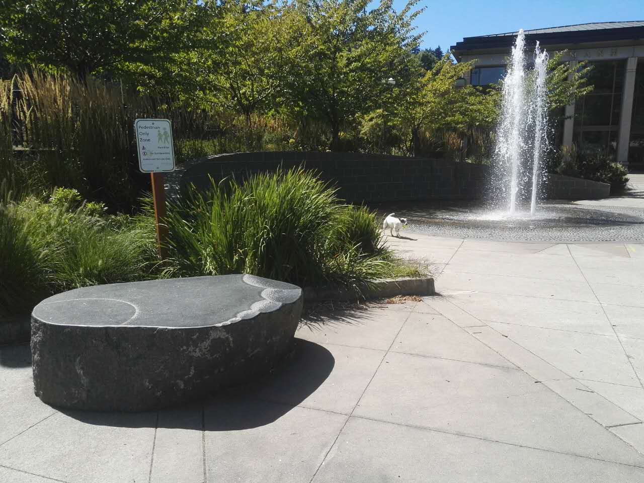 【美國考察】雷丁和舊金山站:感受那些別致的景觀設計