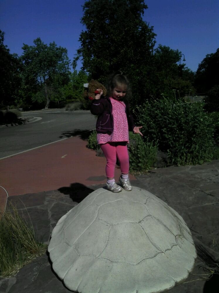 【美國考察】雷丁和舊金山站:感受那些別致的景觀設計