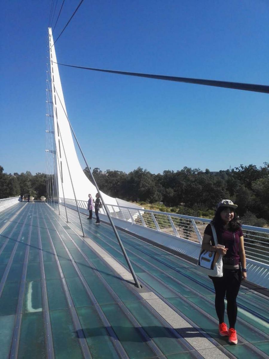 【美國(guó)考察】雷丁和舊金山站:感受那些別致的景觀設(shè)計(jì)