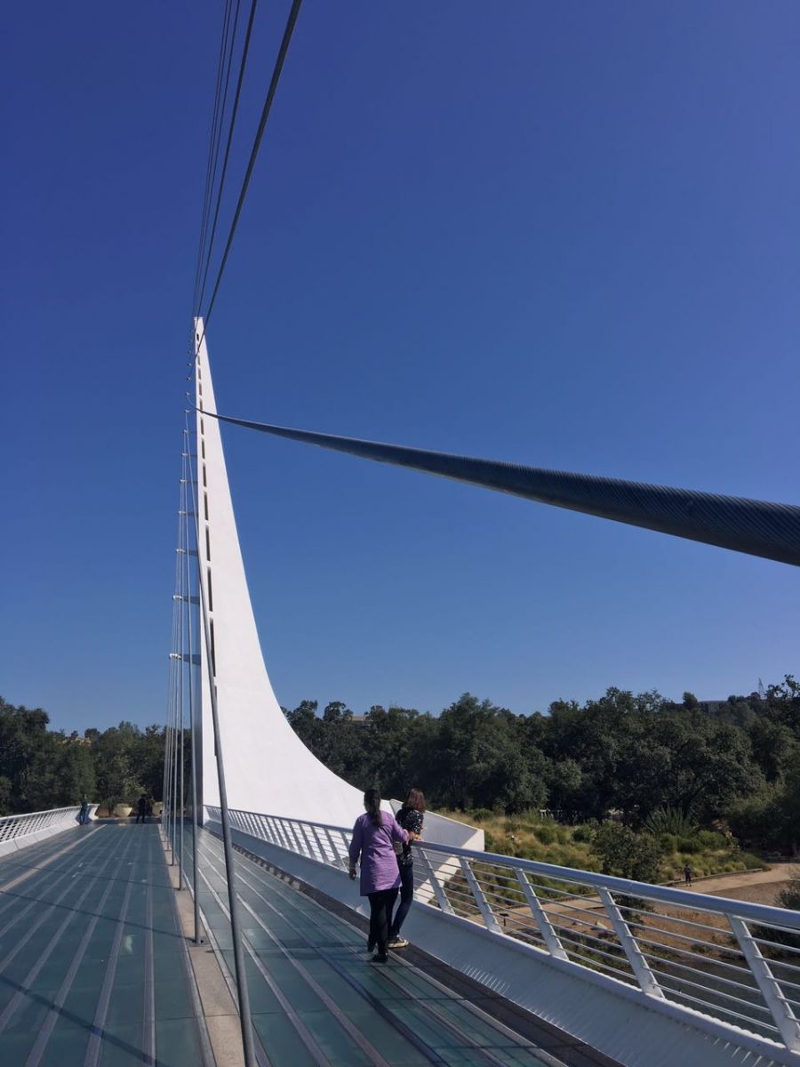 【美國考察】雷丁和舊金山站:感受那些別致的景觀設計