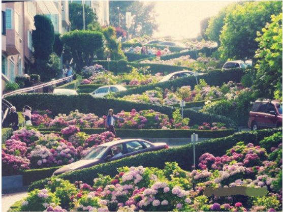 【美國考察】雷丁和舊金山站:感受那些別致的景觀設計