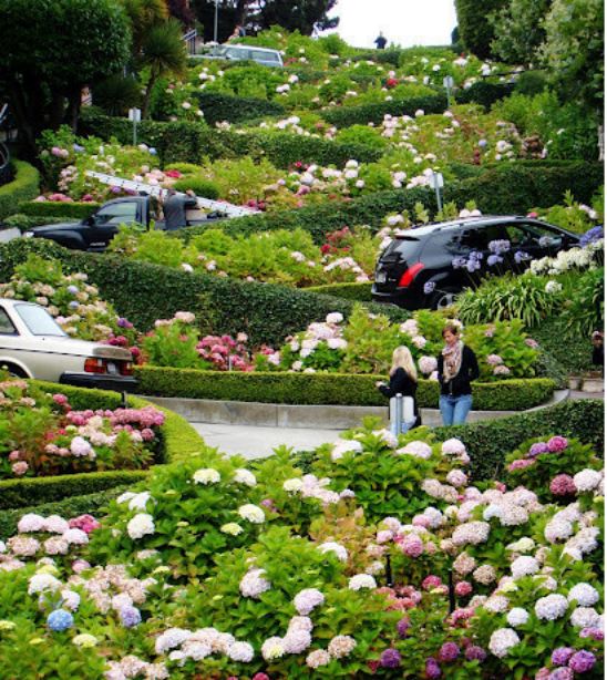 【美國考察】雷丁和舊金山站:感受那些別致的景觀設計