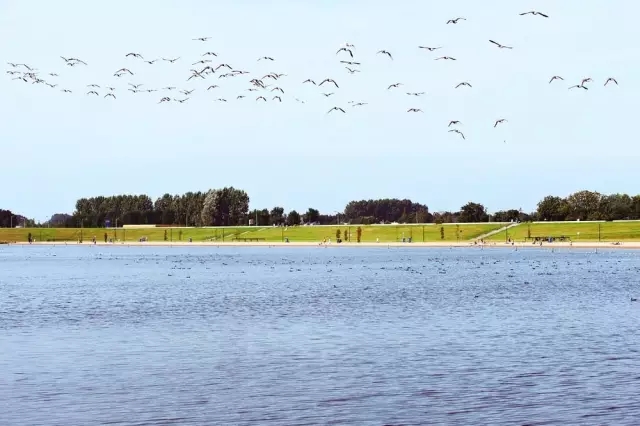 水的凈化器：荷蘭盧納公園景觀