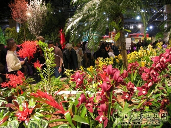 走近美國費城花展