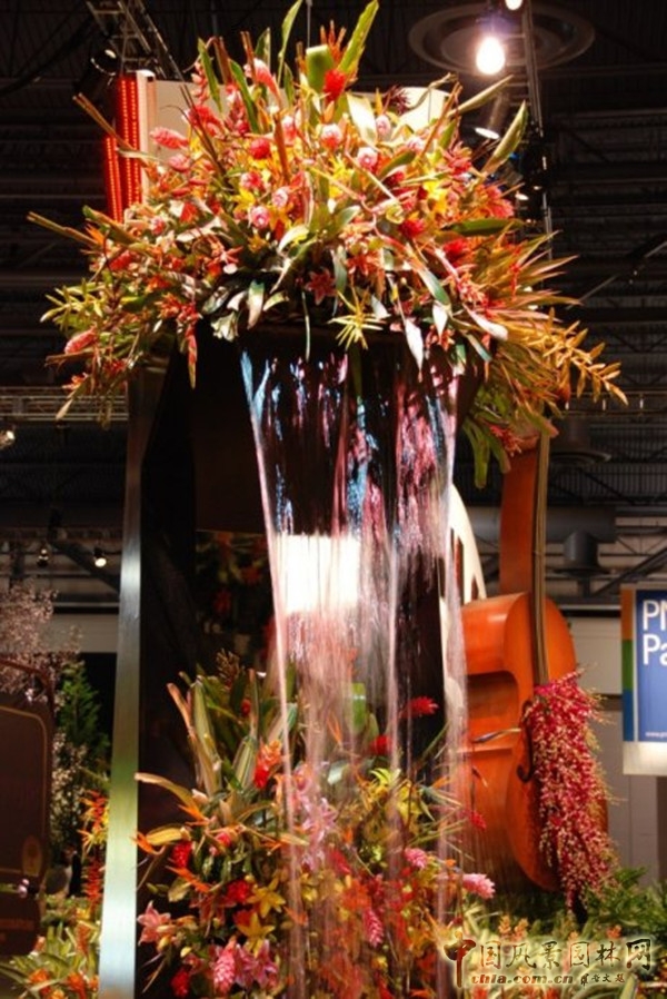 走近美國費城花展