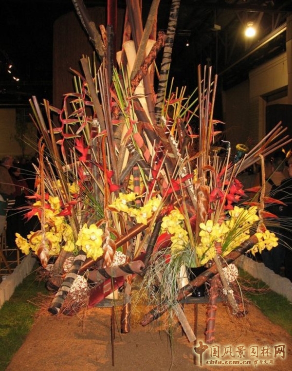 走近美國費城花展