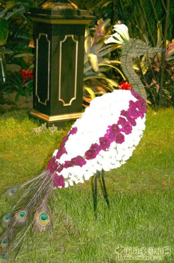 走近美國費城花展